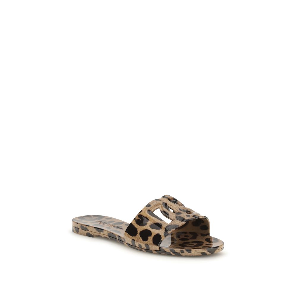 Dolce & Gabbana Multicolor Rubber Flat Sandals